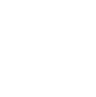 Circle icon