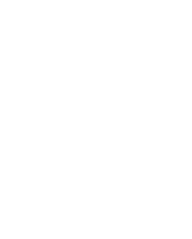Circle icon